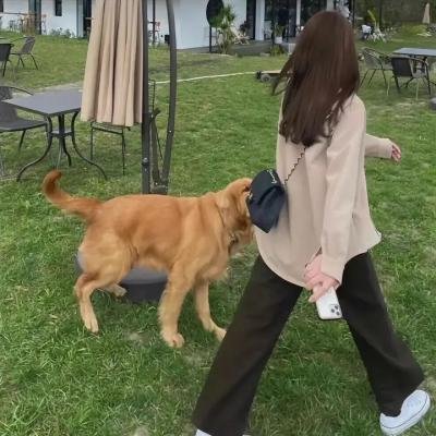 走私犯
